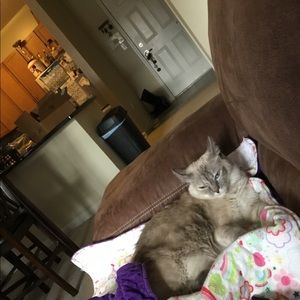 Meet your Posher, Sharon